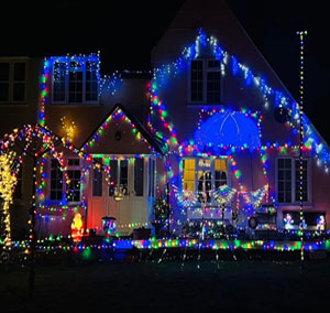 Bear Street Christmas Lights