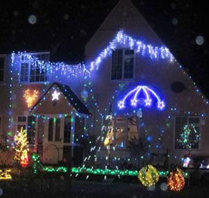 Bear Street Christmas Lights